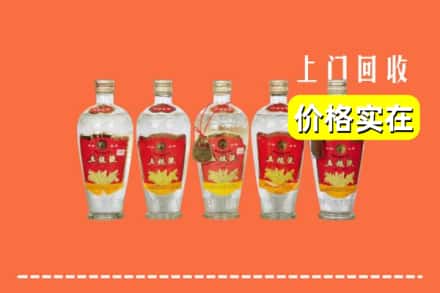 诚信求购:揭阳市高价回收老五粮液